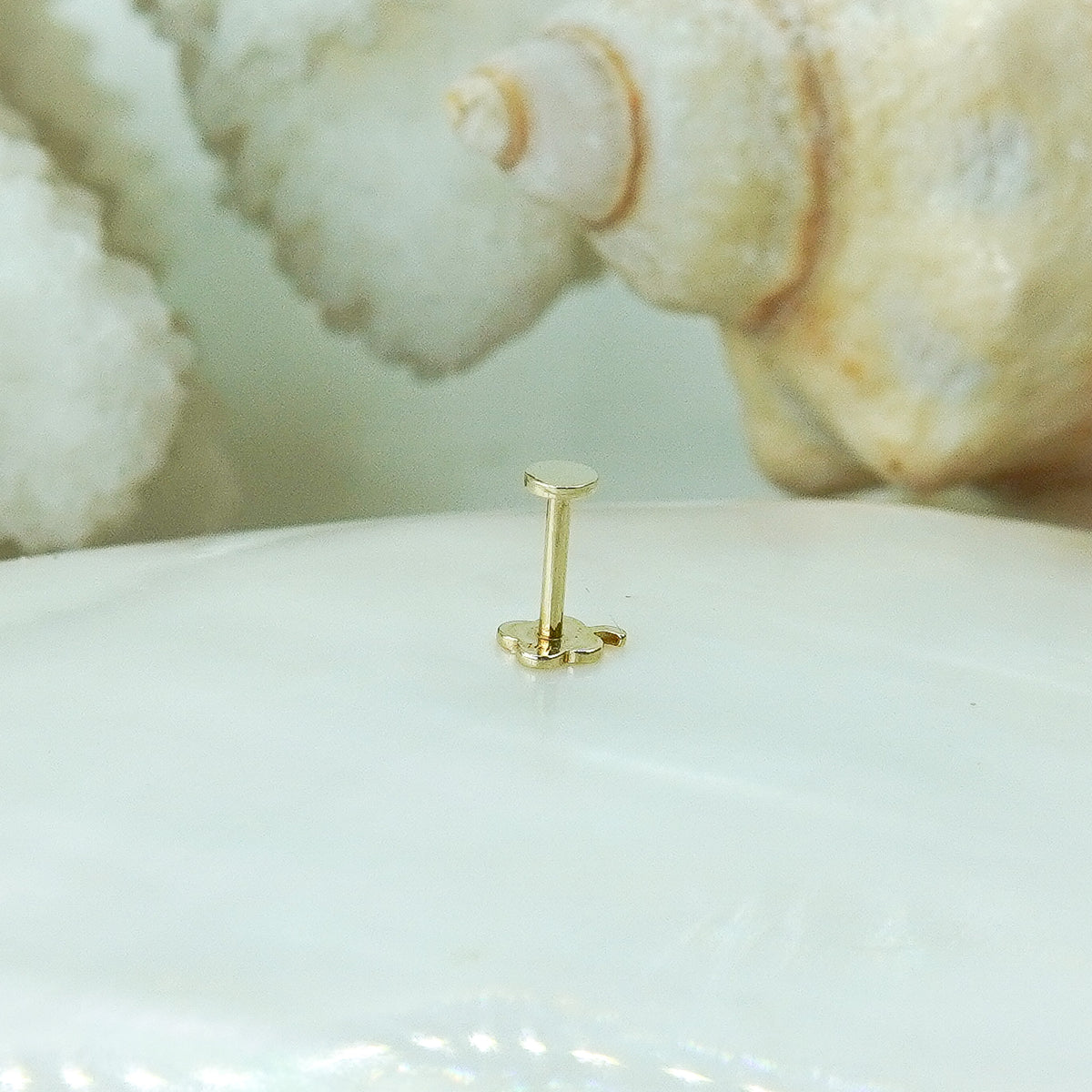 14KY Screwtube Round disc+6.5mmL tube (per piece)