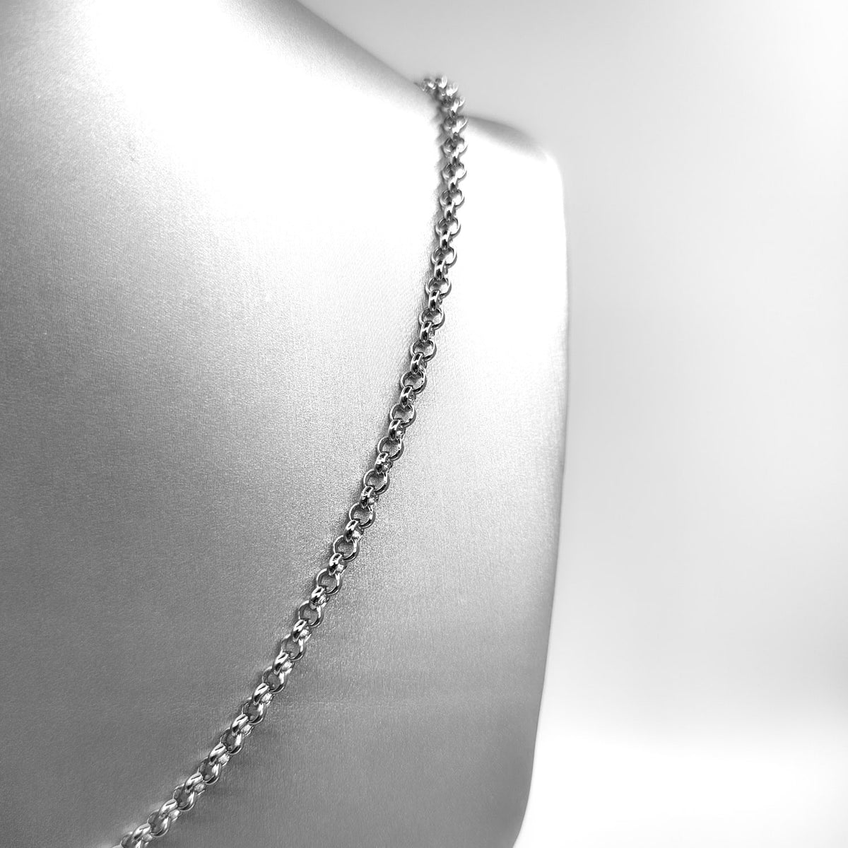 Silver Necklace - Neck ZZL